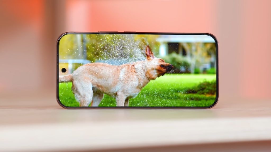 Vivo V70 Elite का डिस्प्ले